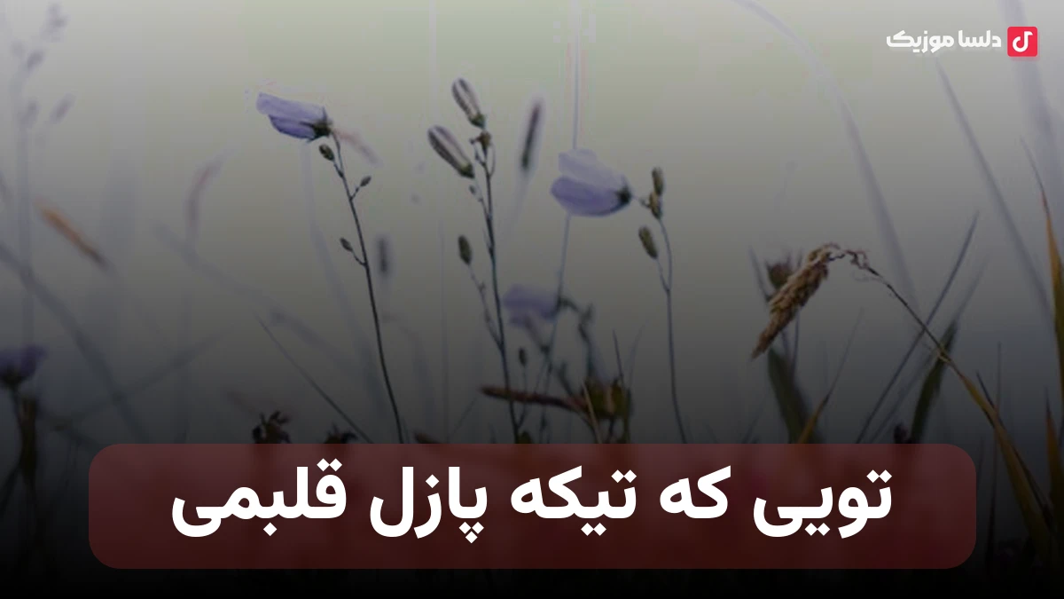 تویی که تیکه پازل قلبمی با صدای زن